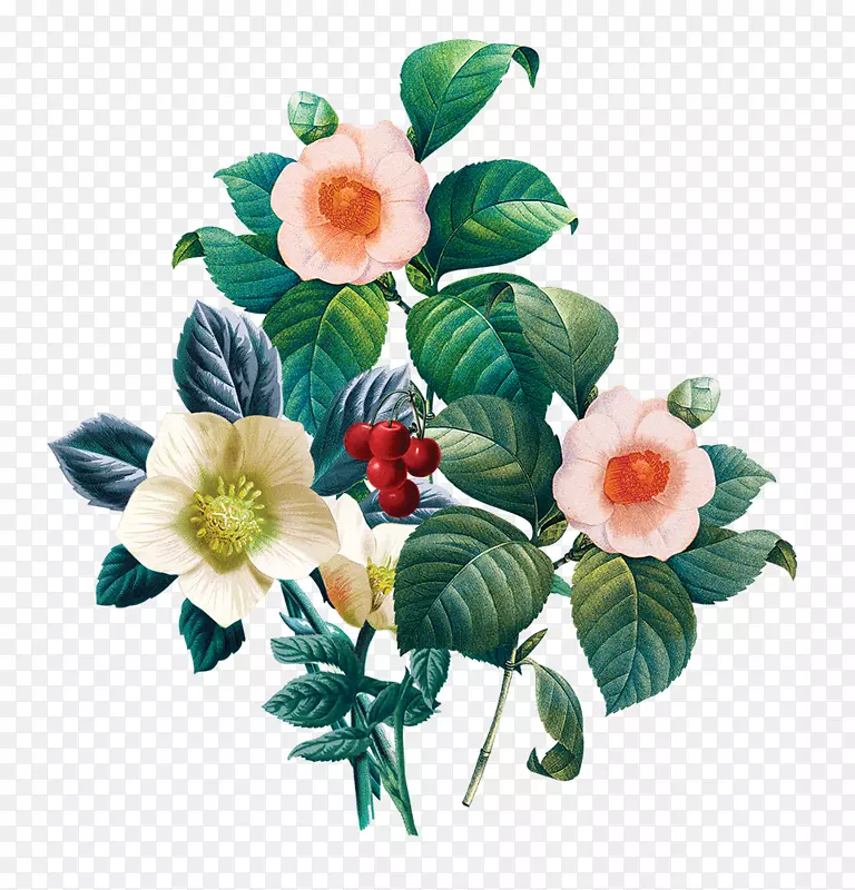 �ֻ滭��������װ��-������