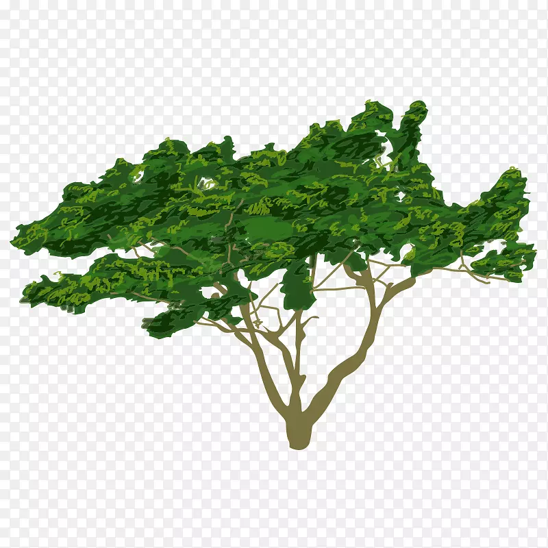 �� ��ľ ľ ֲ��-������