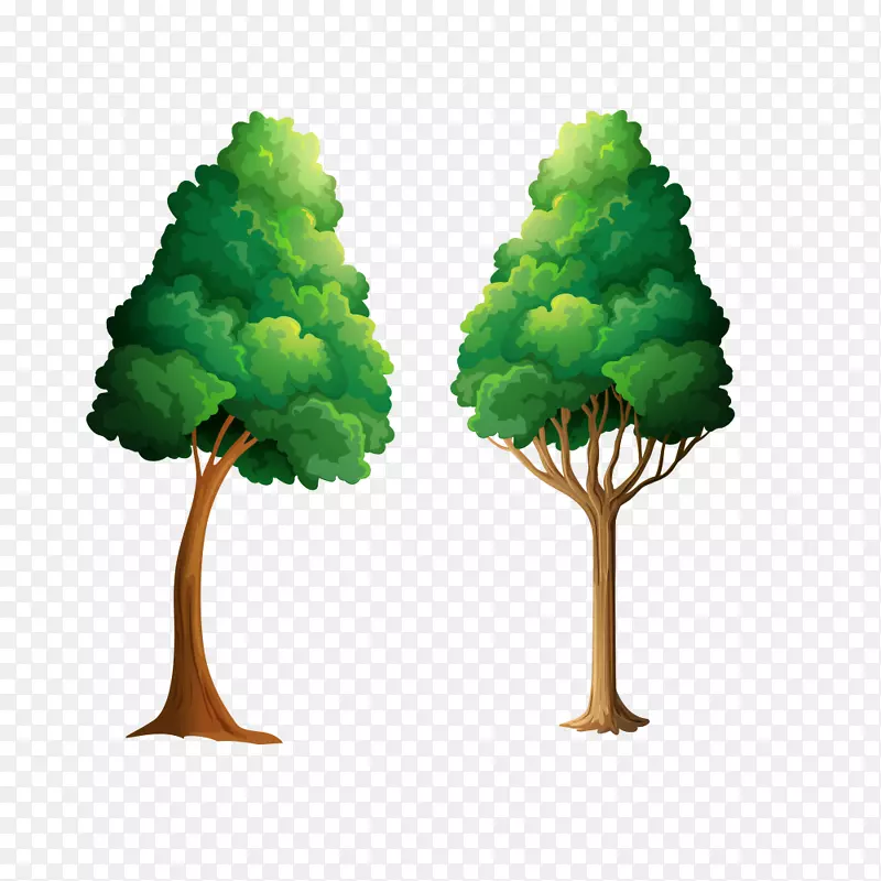 �� ��ľ-������