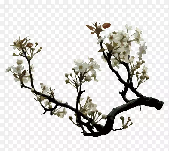 ��֦��ʢ�����滨-������