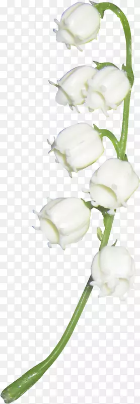 ��ɫ�ʻ�-������