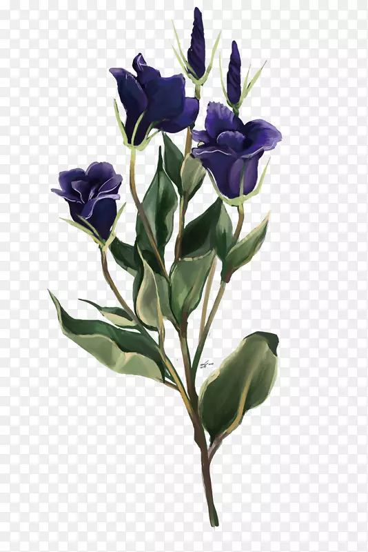 ʸ������-������