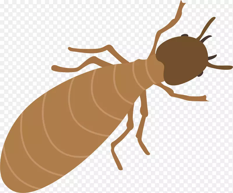 ��Բ��ʸ����ͨ����-������