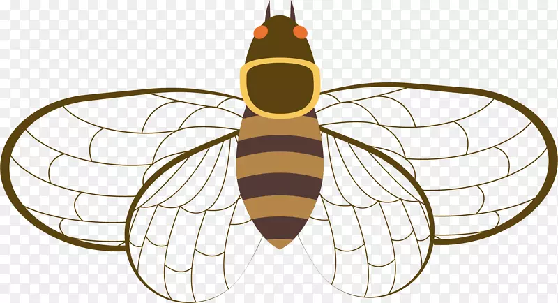 ��Բ��ʸ����ͨ��-������