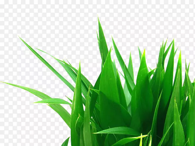 һ�ز��ز�PNG-������