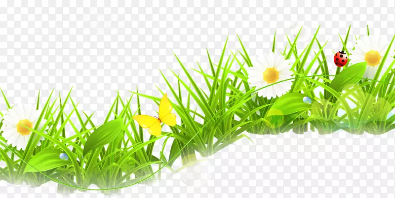 ��ɫ��������-������