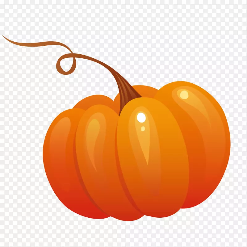 ��ɫ�Ϲ�-������