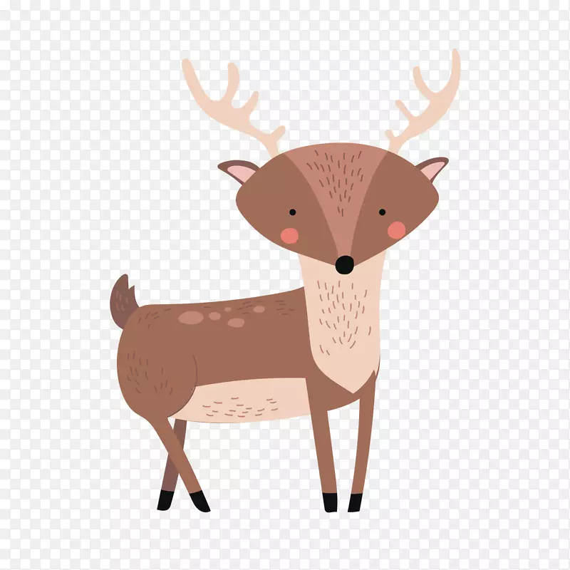 ��ͨ÷��¹PNG����-������