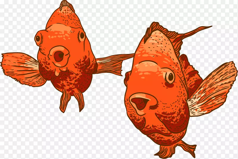 �㺣��ʳ��PNGʸ���ز�-������