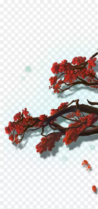 ���㺣����͸���ز�-������