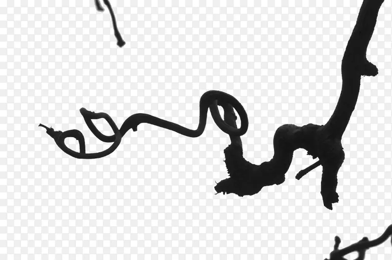 ��ɫ��ʥ�ڹ���֦-������