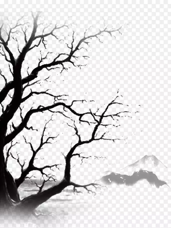 ��֦-������