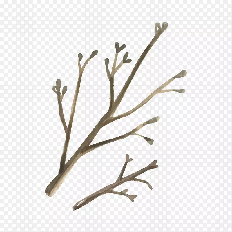 ˮī��ˮ����֦����ز�-������