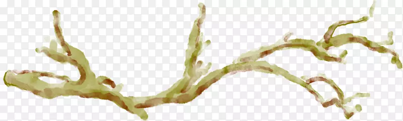 �ֻ�ˮī��֦���ͼ-������