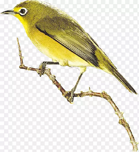 ˮī��������-������