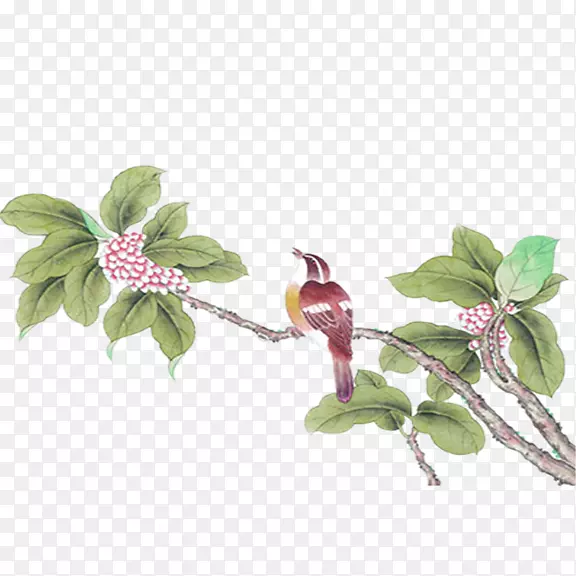 ��֦�ϵ���-������