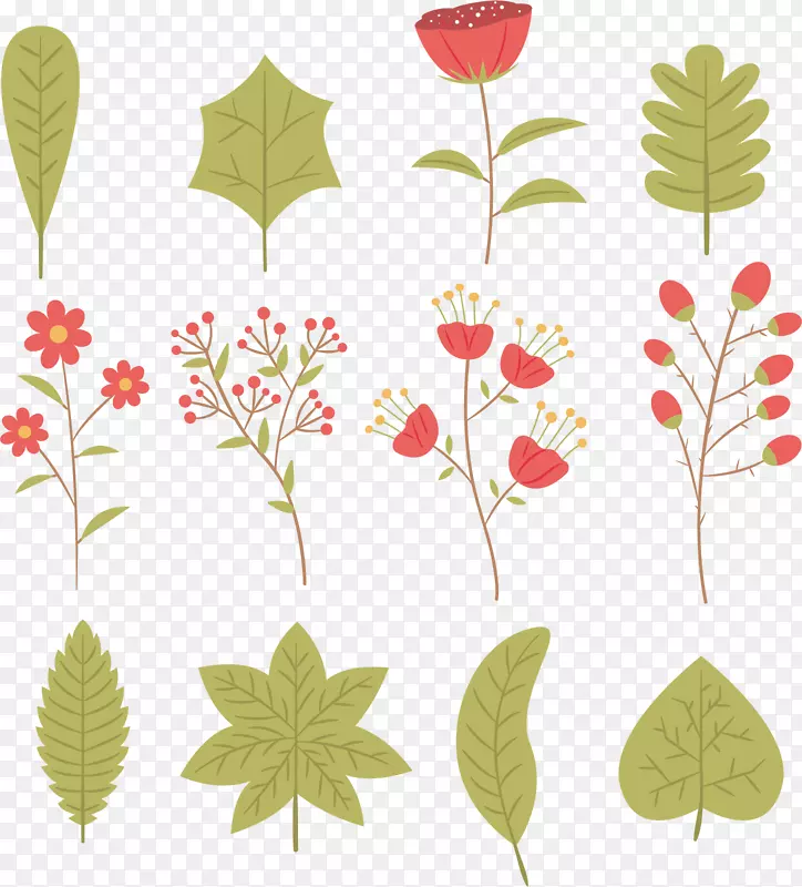 ������Ҷ��֦Ԫ��ʸ��-������