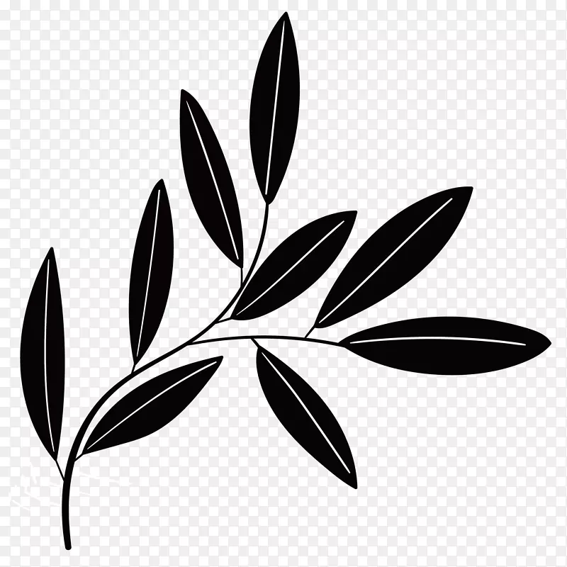 ��ɫ�򵥵���֦ͼ��-������