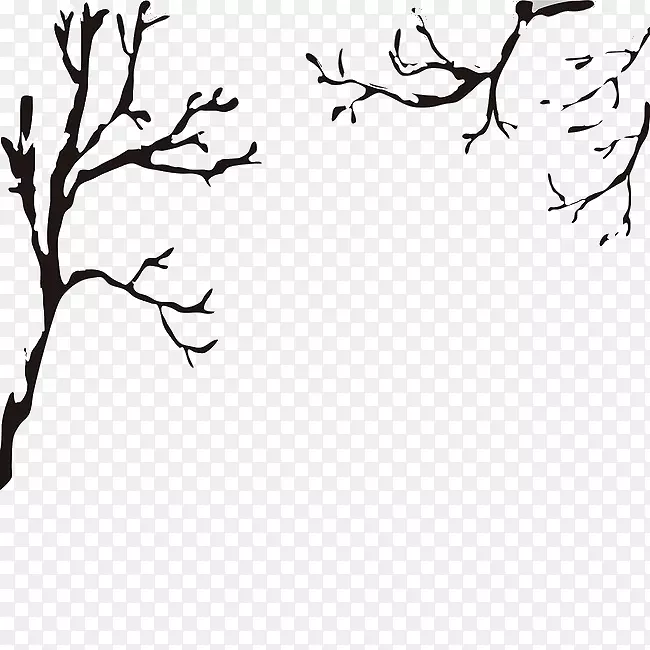 ��֦-������