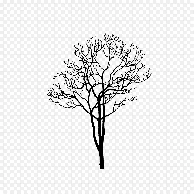 ʸ���ֻ����-������