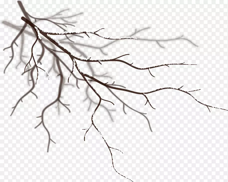 С���º�ɫ��֦-������