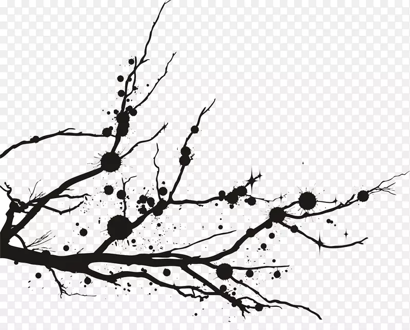 ��֦-������