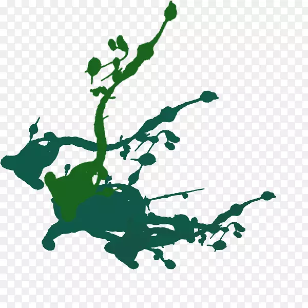 �й���ˮ����֦-������