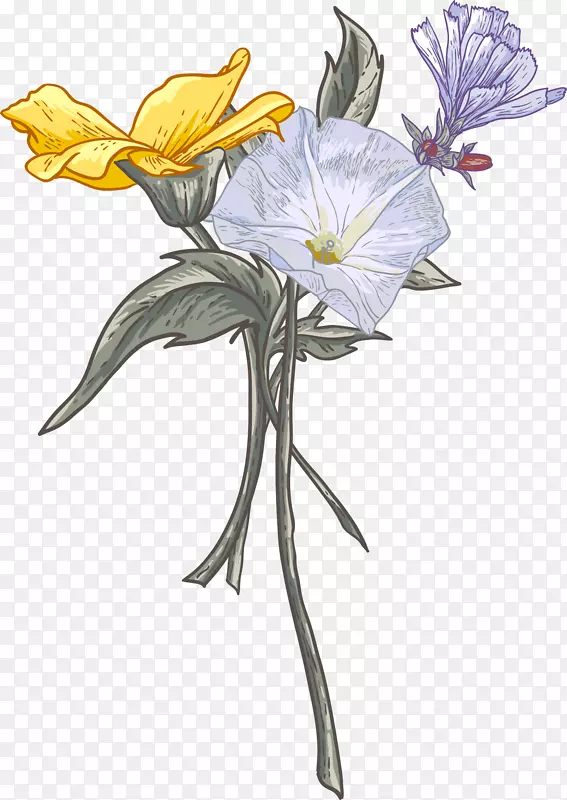 �ֻ��ʻ��仨��-������