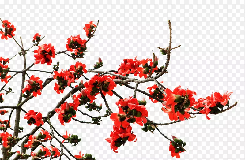 һ�س�ɫľ�޻�-������