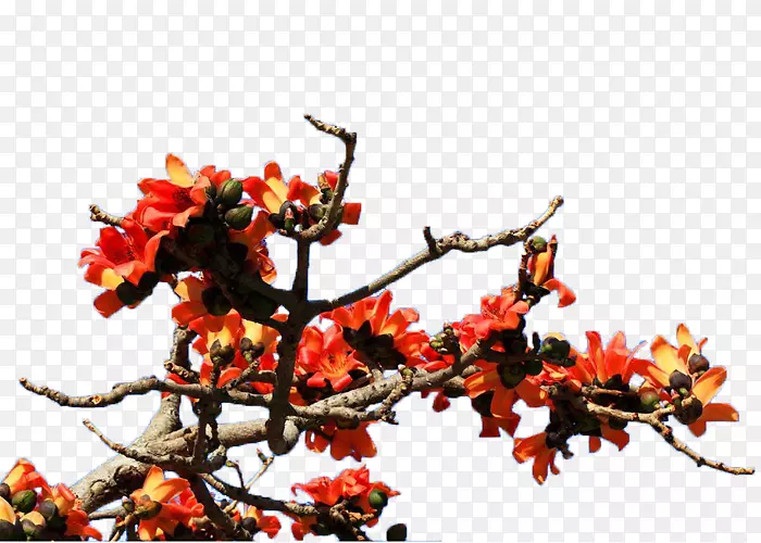 һ�س�ɫľ�޻�-������