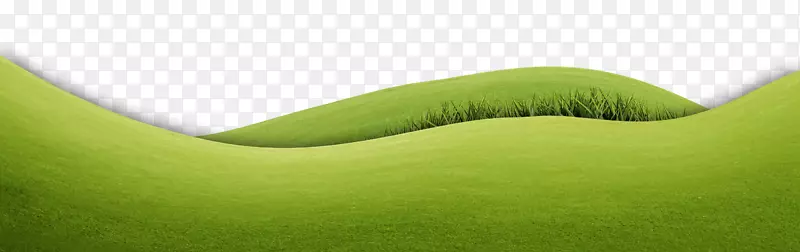 С�ݲݵ��ز�-������