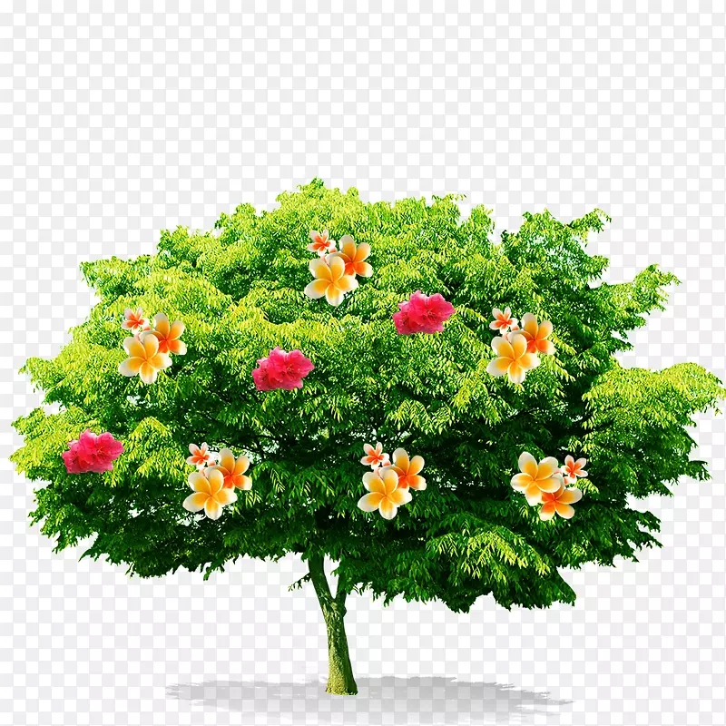 ����-������