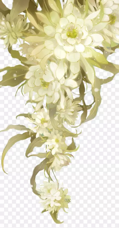 һ���ɫĵ����-������