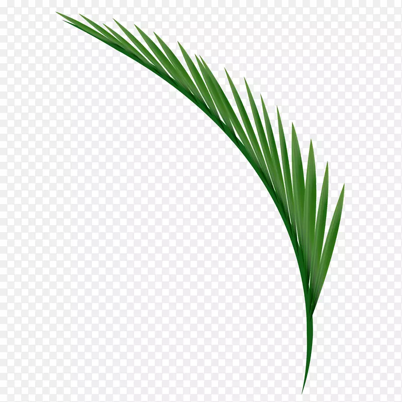 ʸ����ɫ�����֦-������