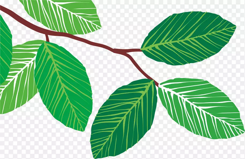 ��Ҷ-������