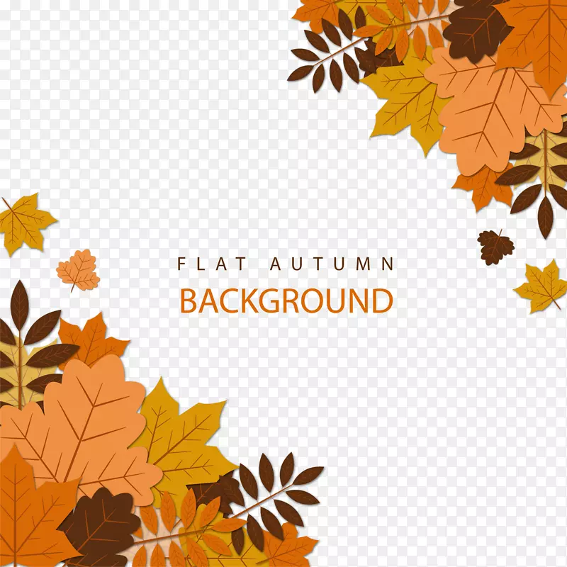 ��ƽ����Ҷ����ʸ��-������