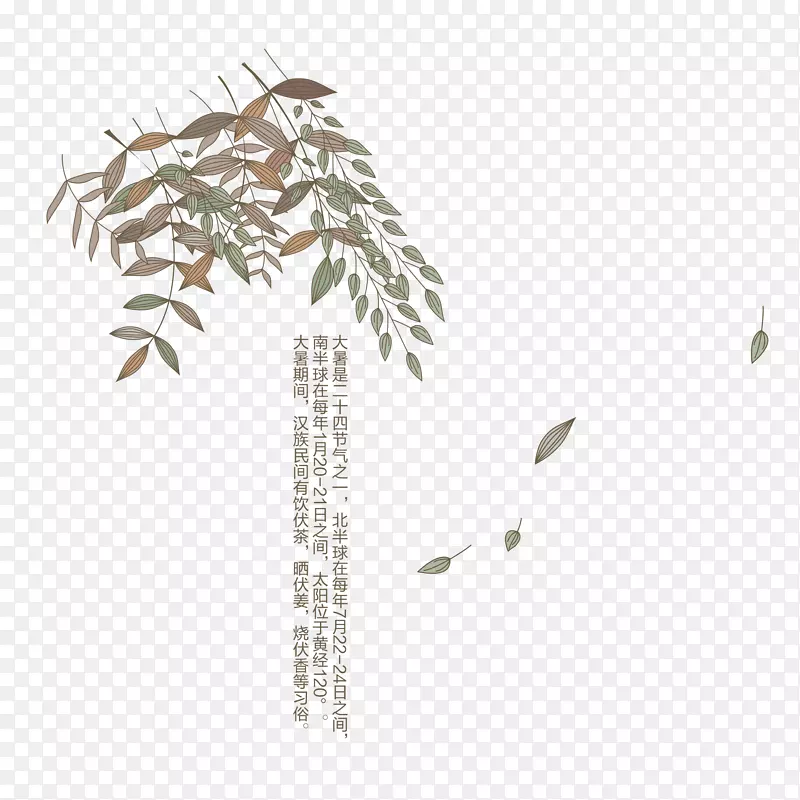 �ֻ���Ҷ-������