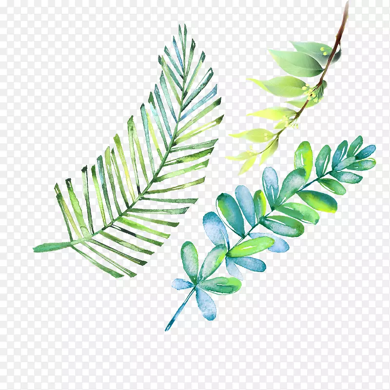 ��������ɫ��Ҷ-������