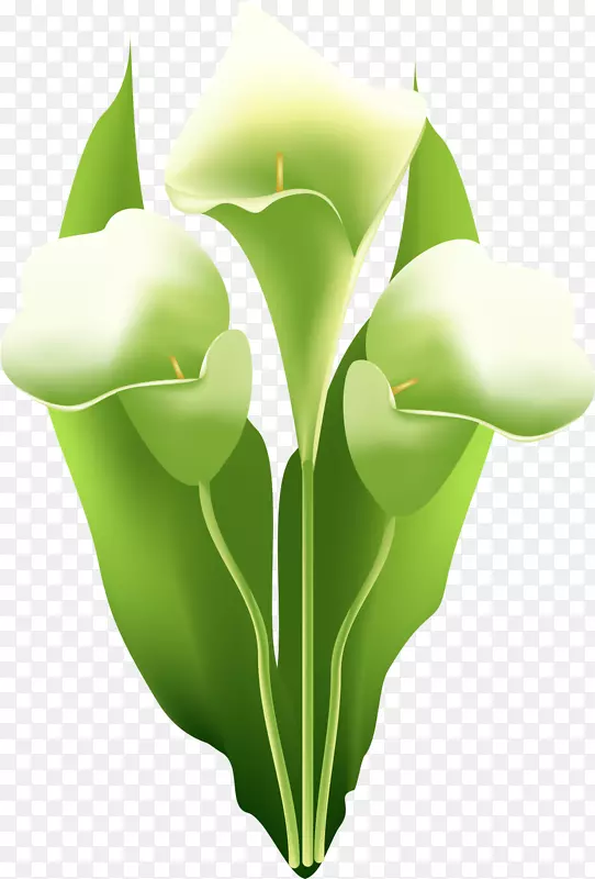 �ֻ�������-������