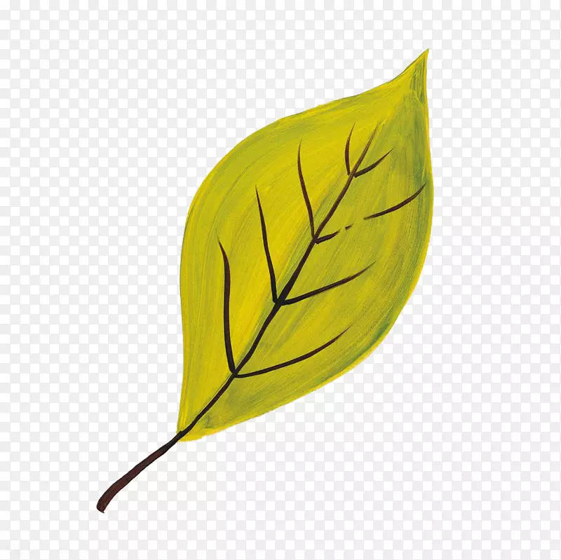 ˮ����Ҷ-������