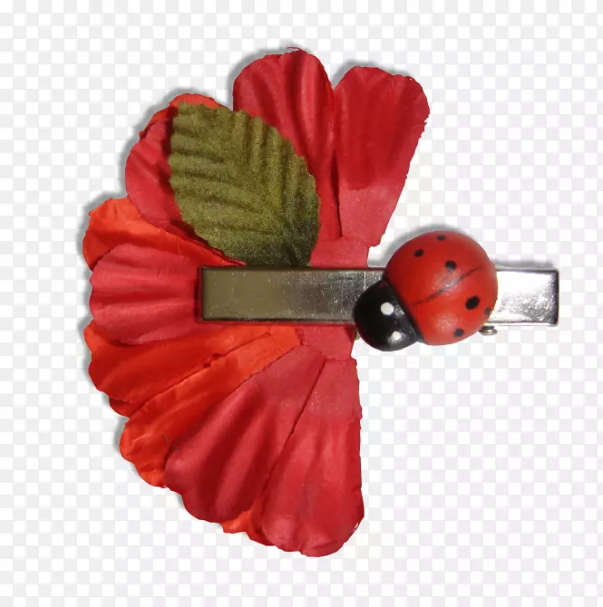 ��ɫ�Ļ�����Ҷ-������