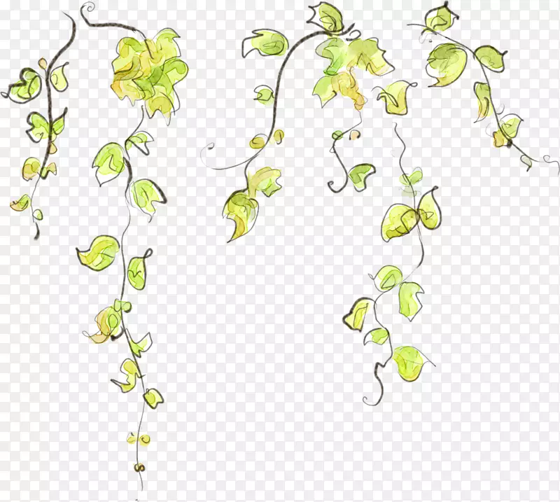 ��ͨ�ֻ���������-������