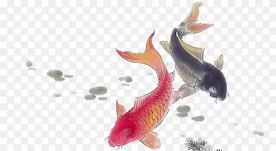 ˮ������-������