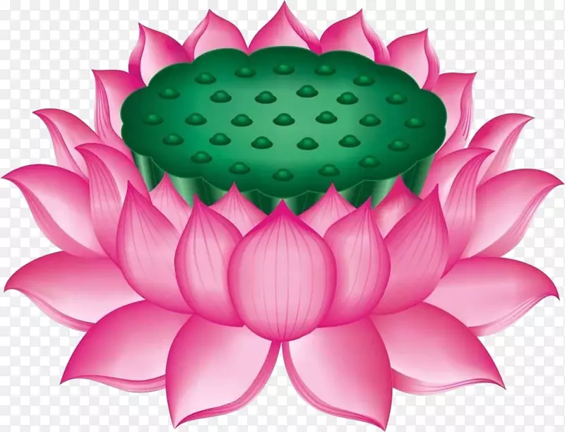 �ֻ�ɻ�-������