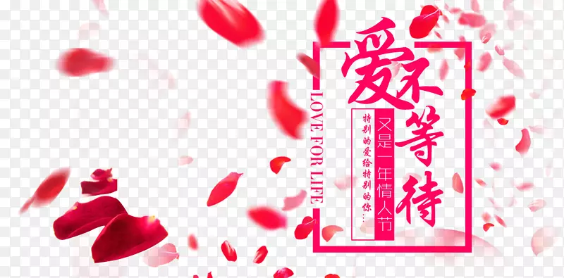 �����ȴ�-������