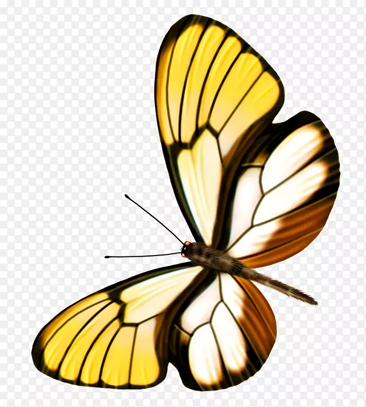 ����-������