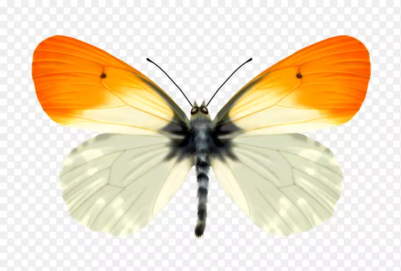 ����-������