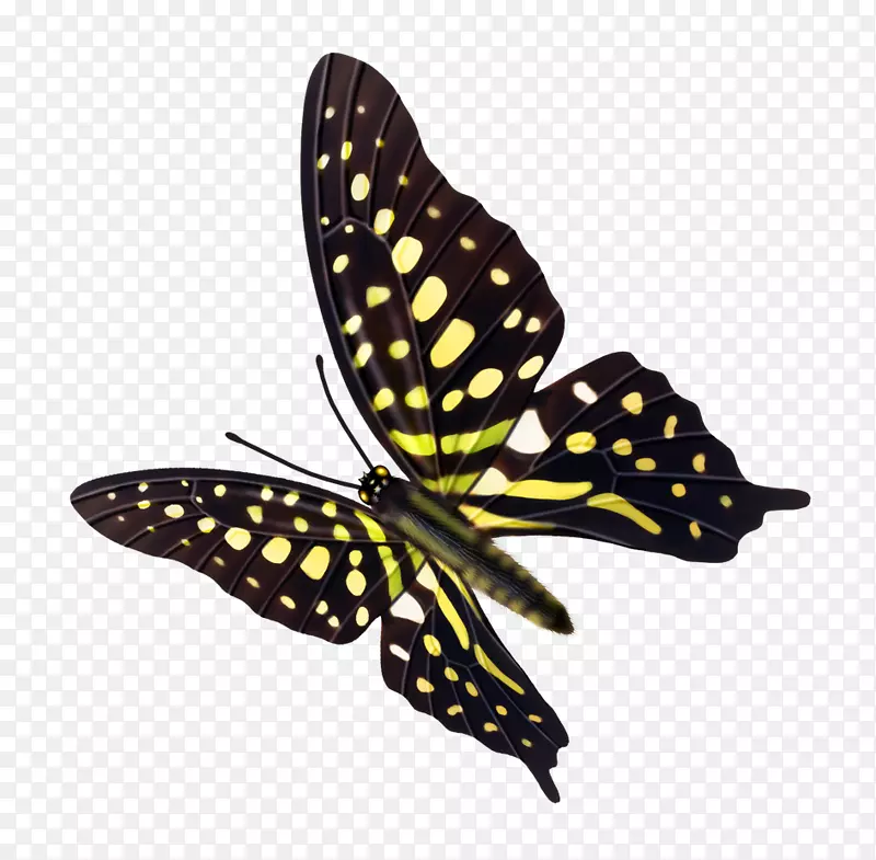 ����-������