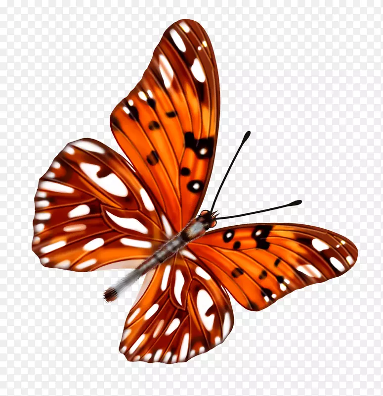 ����-������