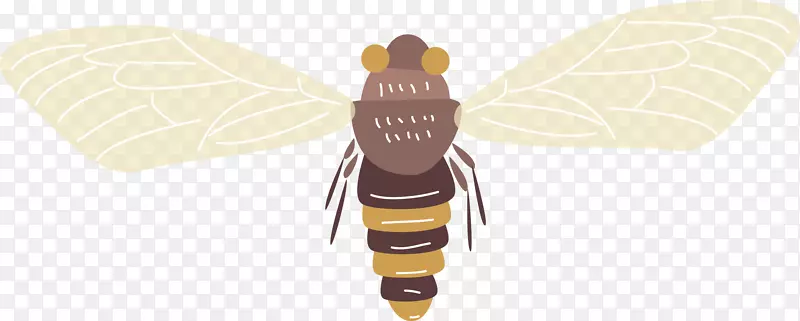 �ſ���ʸ����ͨ�����-������